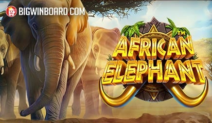 African Elephant slot artwork