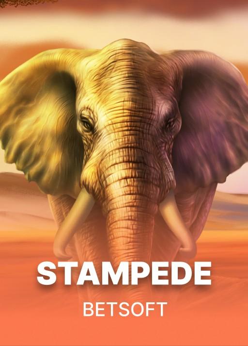 Stampede