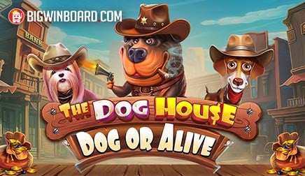 The Dog House - Dog or Alive