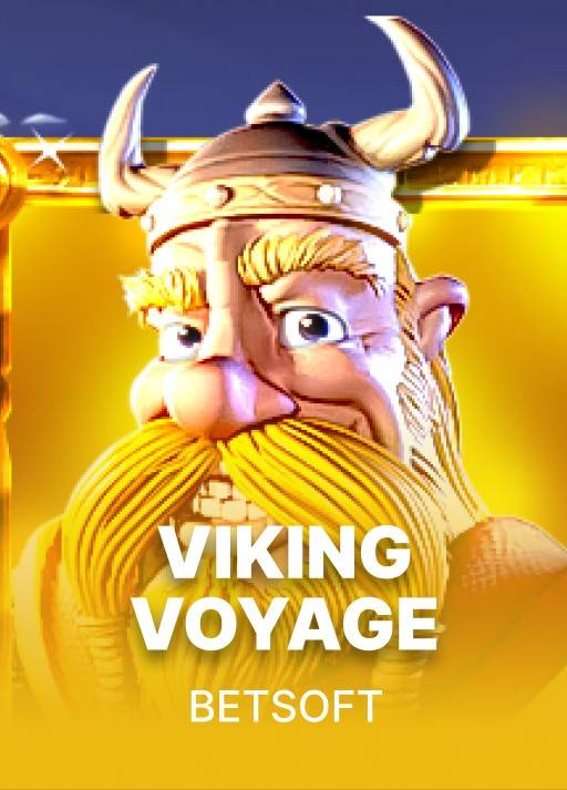 Viking Voyage